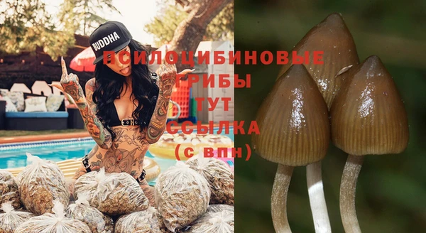 МДПВ Алексин
